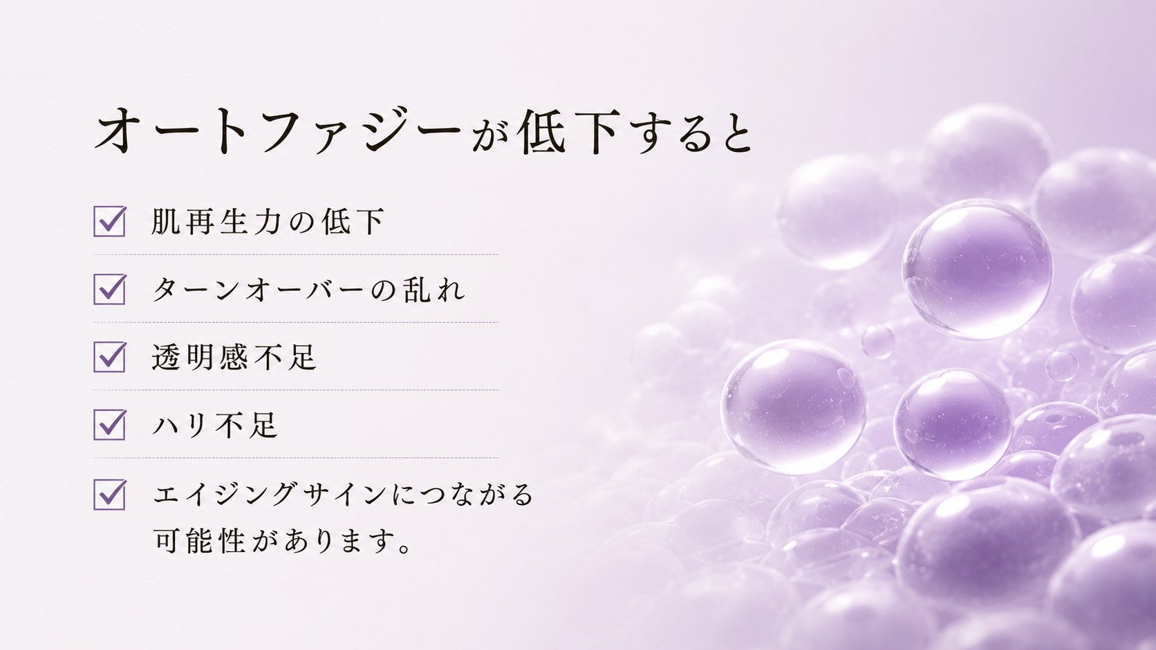 オートファジーが低下すると、肌再生力やターンオーバーに影響。