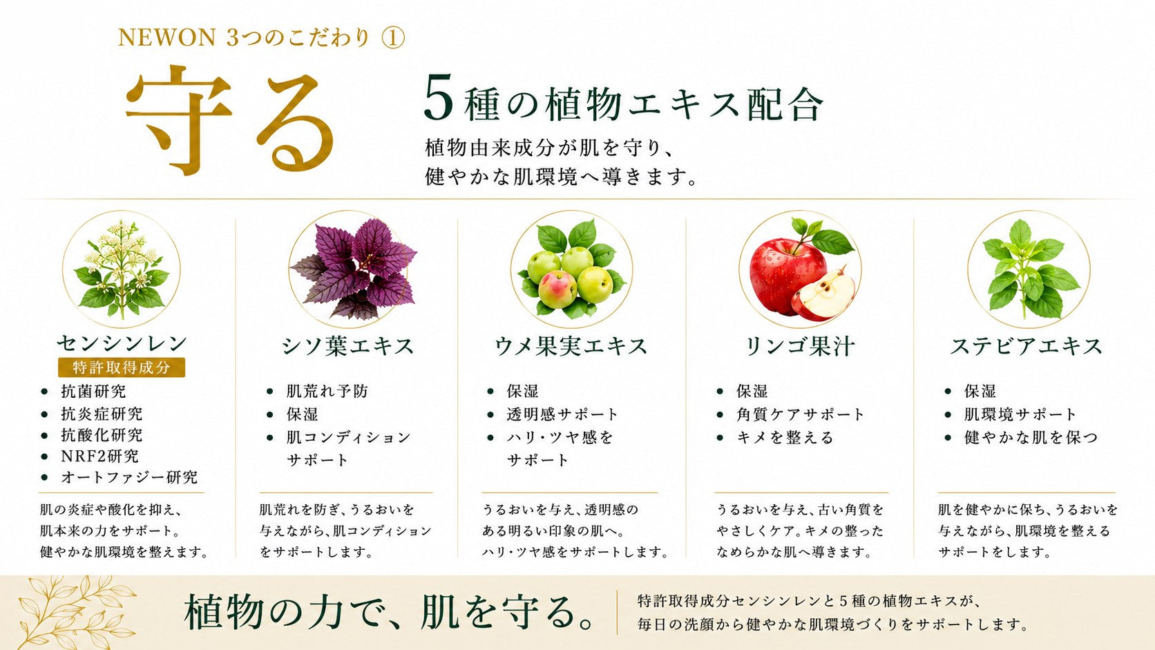 守る。5種の植物エキス配合（センシンレン・シソ葉・ウメ果実・リンゴ果汁・ステビア）。