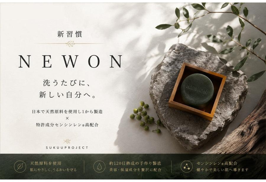 NEWON 美容石鹸