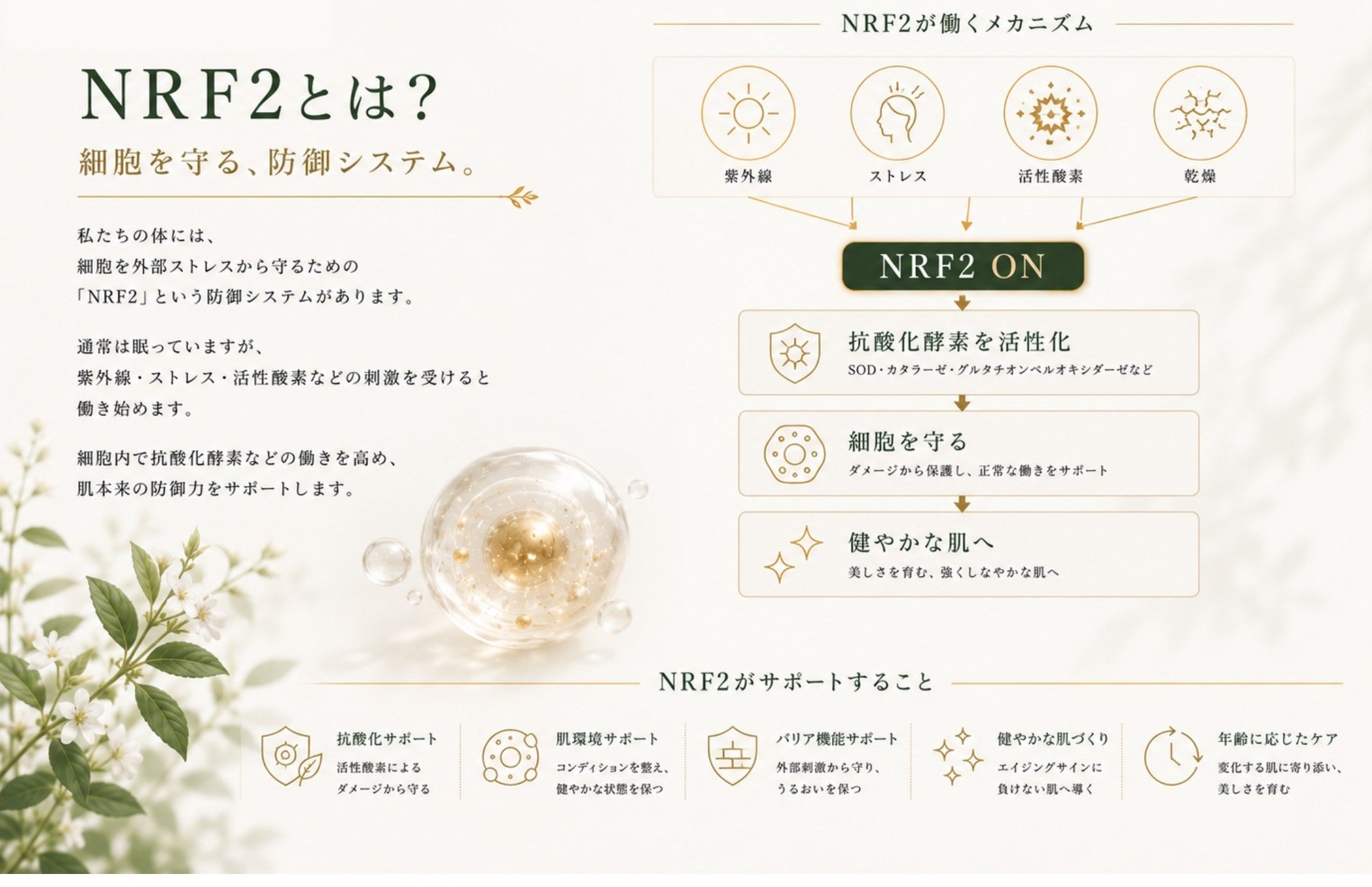 NEWON
