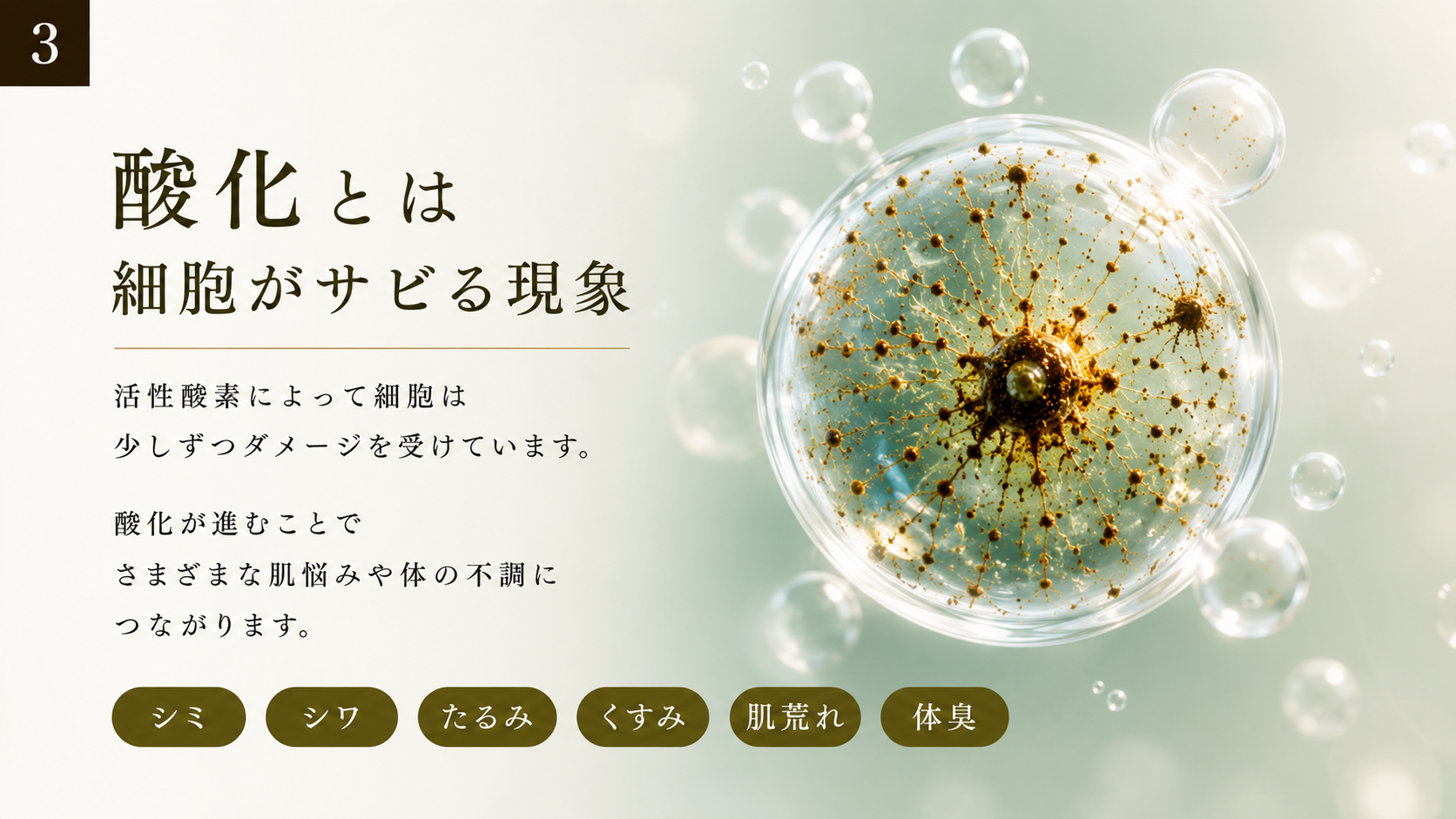 酸化とは細胞がサビる現��。シミ・シワ・たるみ・くすみ・肌荒れ・体臭につながります。