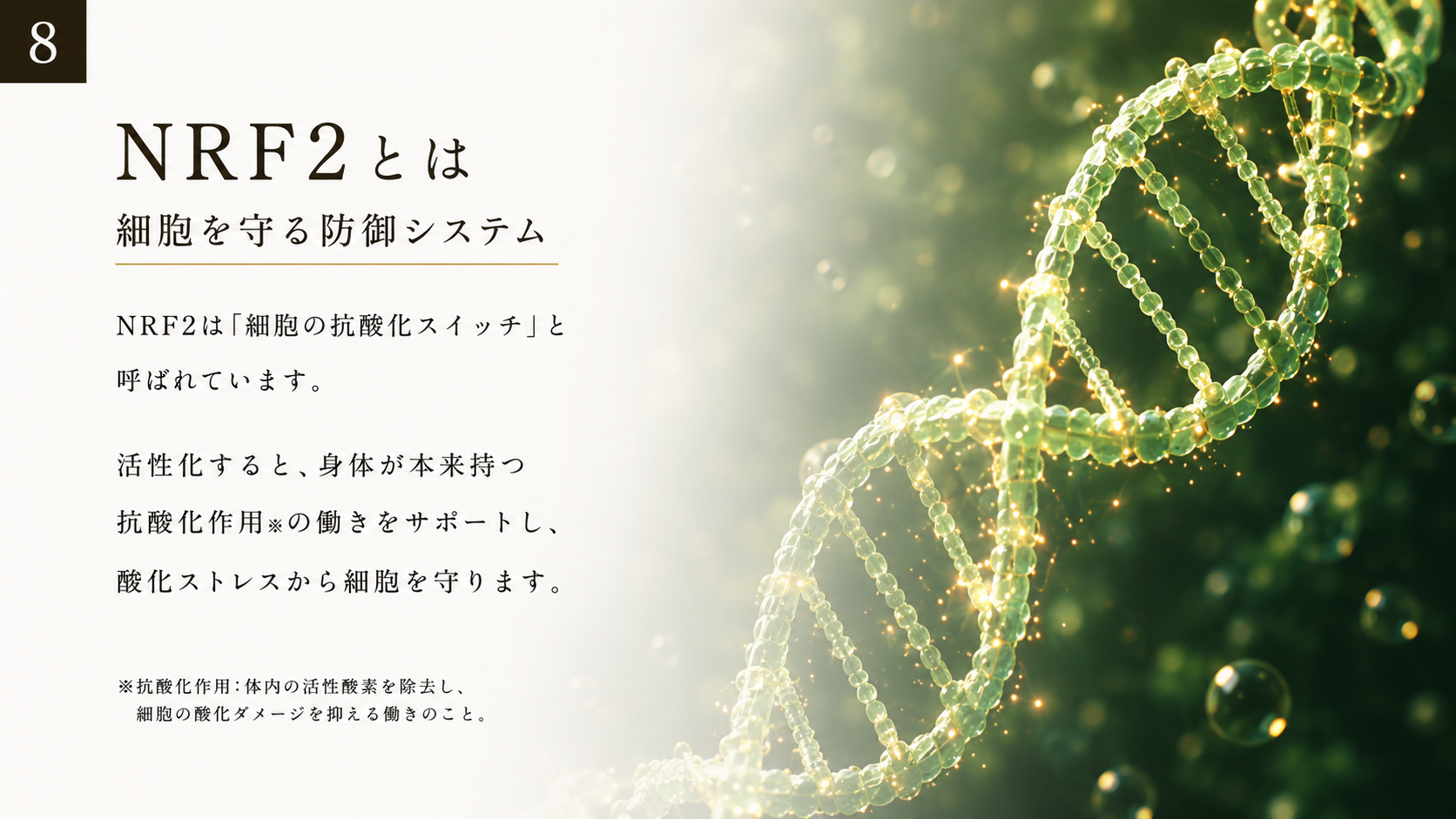 NRF2とは細胞を守る防御システム。