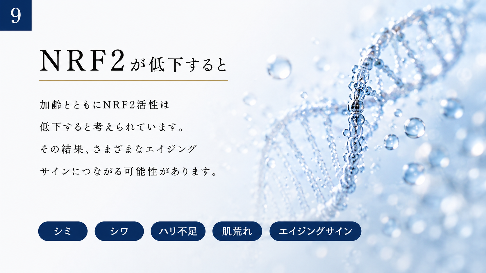 NRF2が低下すると、シミ・シワ・ハリ不足・肌荒れ・エイジングサイン。