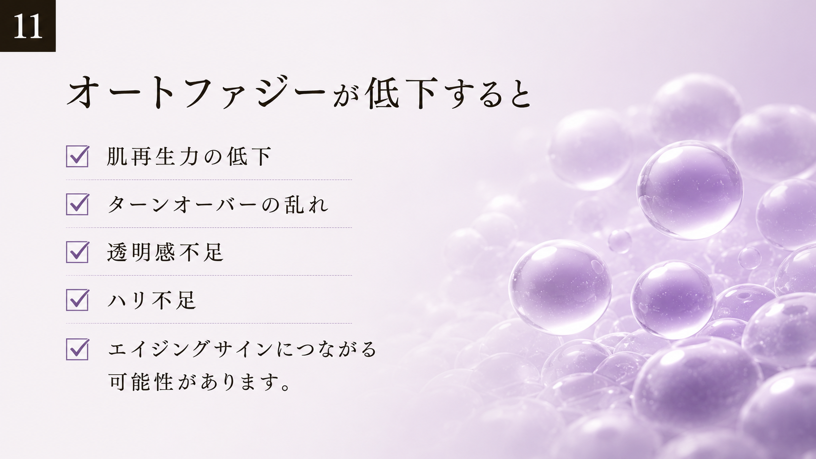 オートファジーが低下すると、肌再生力やターンオーバーに影響。