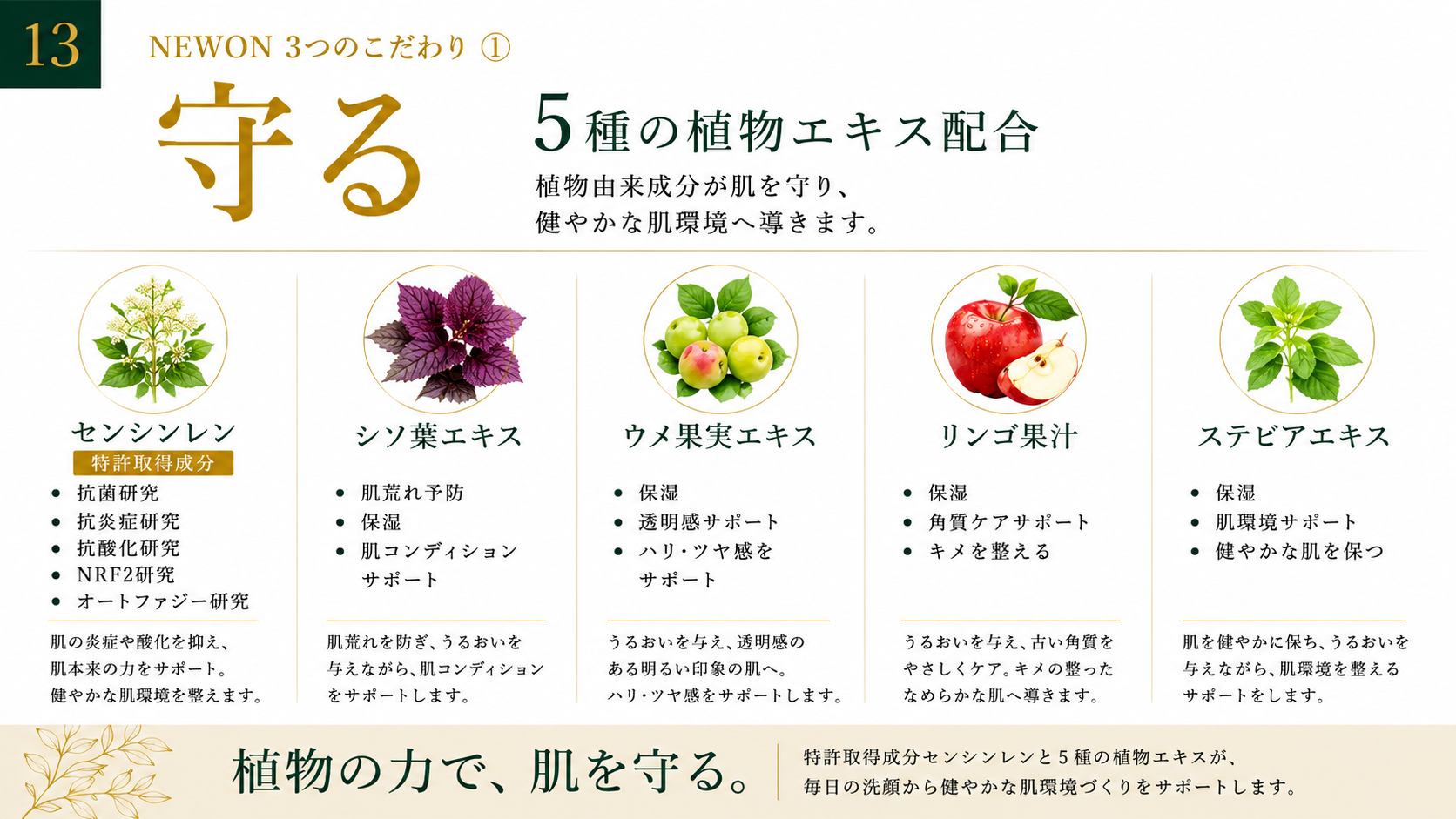 守る。5の植物エキス配合（センシンレン・シソ葉・ウメ果実・リンゴボ汁・ステビア）。